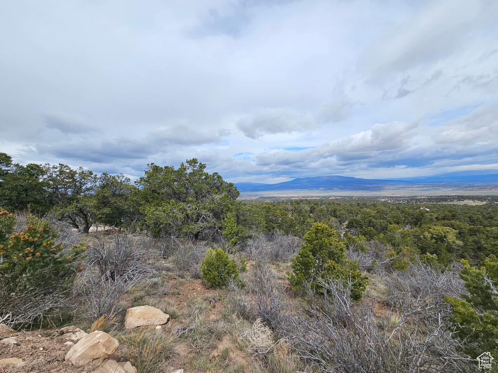 View of mountain feature featuring a wooded view