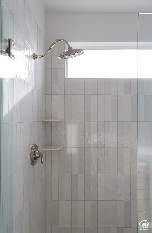 Interior details with tiled shower