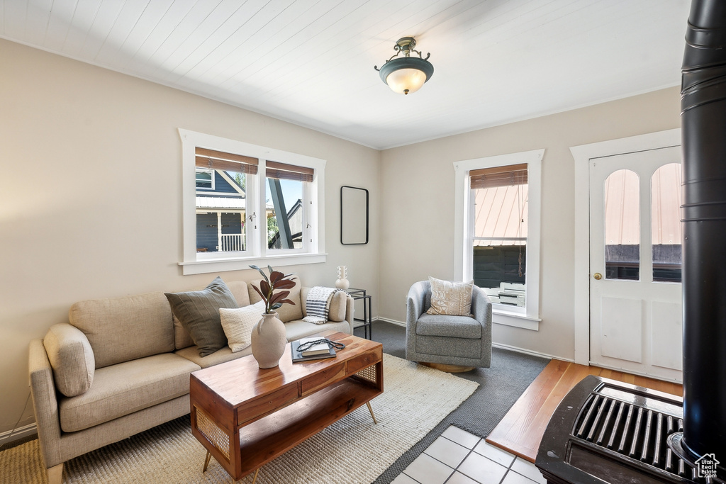 Living room with a wood stove and hardwood / wood-style floors