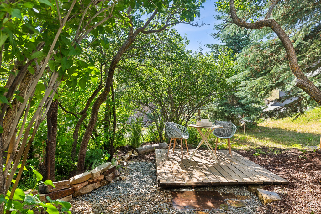 View of yard with a wooden deck