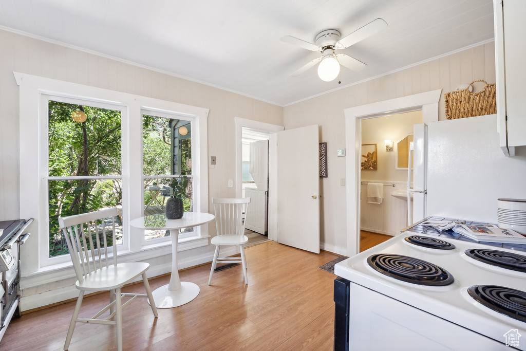 Kitchen featuring stove, white fridge, a healthy amount of sunlight, and light hardwood / wood-style floors