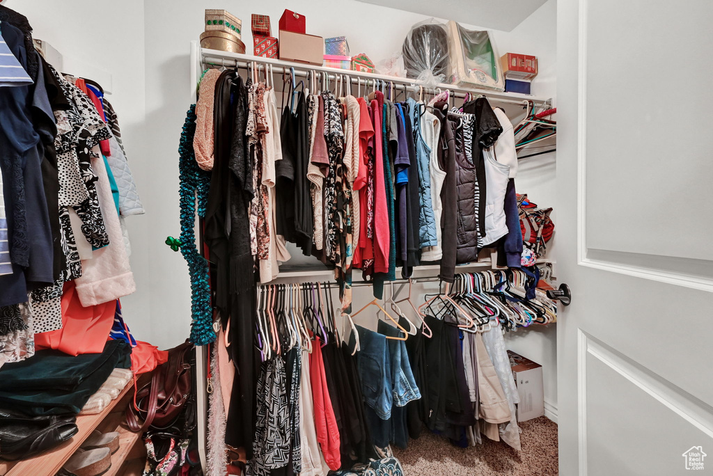 Walk in closet featuring carpet flooring