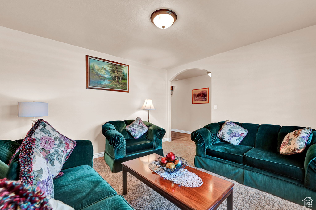 Living room with carpet floors