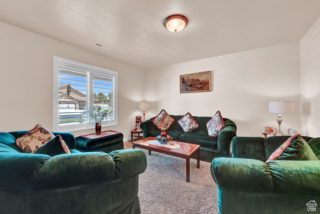 Living room with carpet