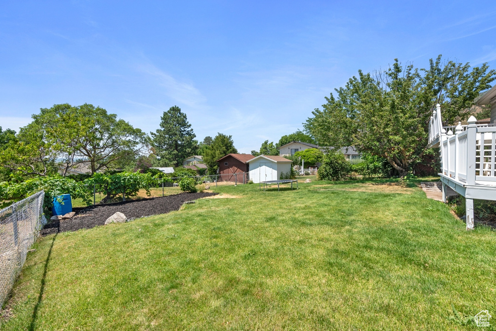 View of yard with a storage unit