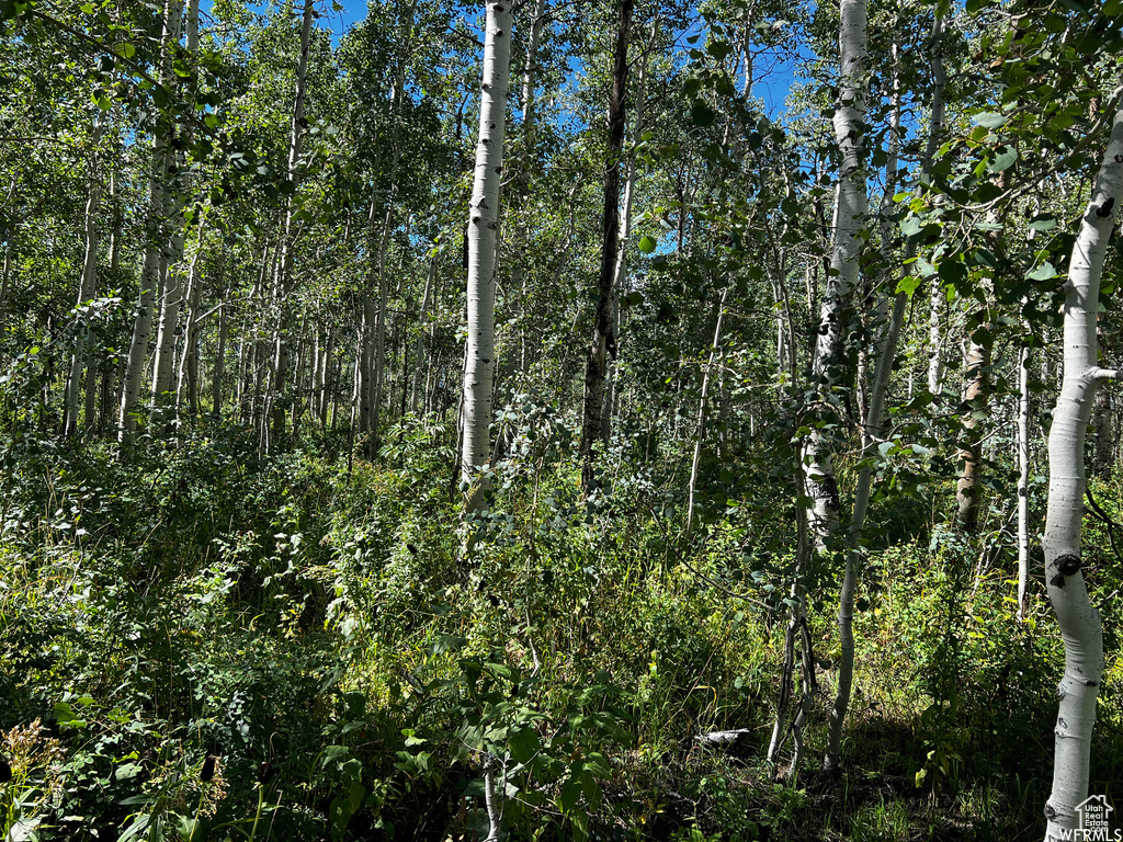 View of landscape