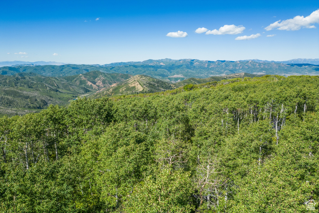 Property view of mountains