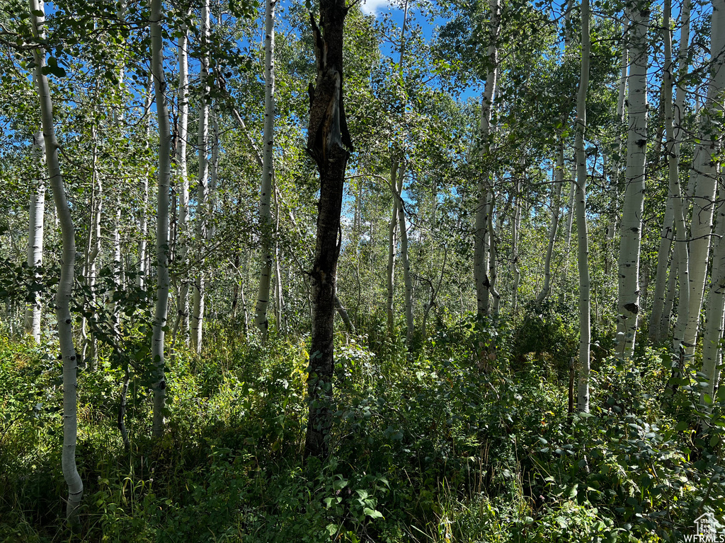 View of nature