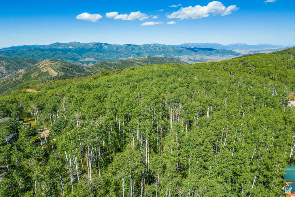 Property view of mountains