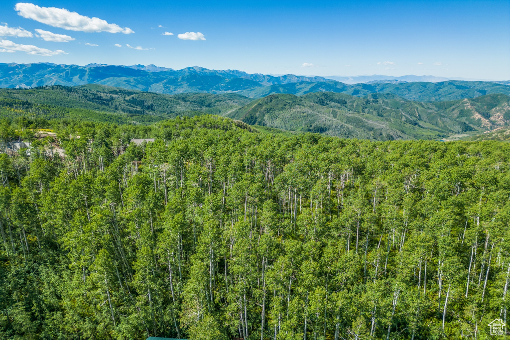 Property view of mountains