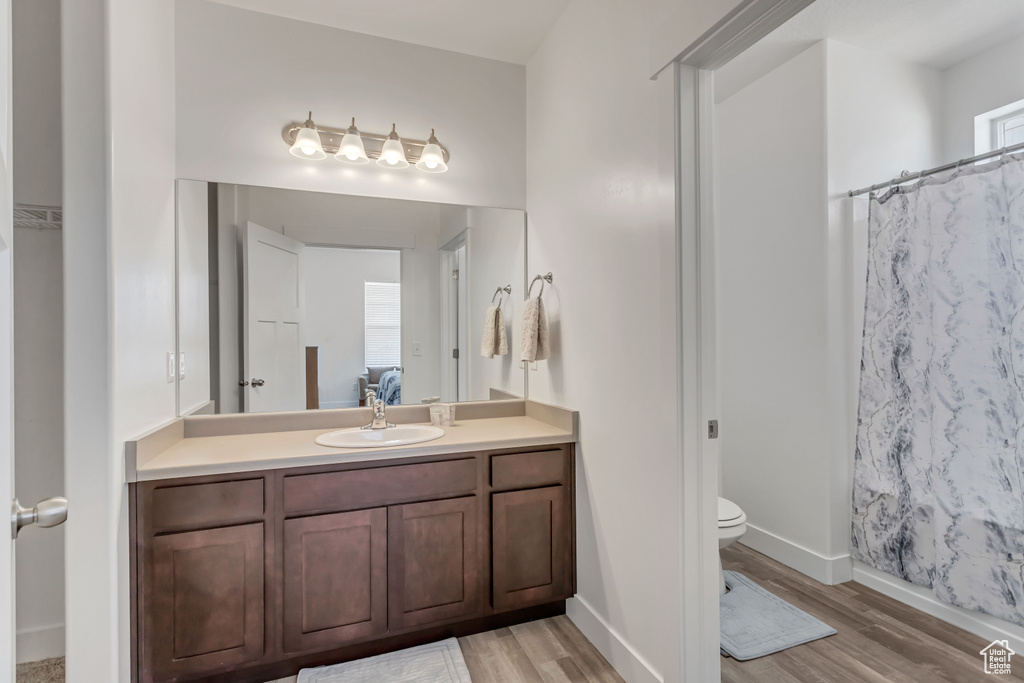 Bathroom featuring vanity, toilet, and wood-type flooring