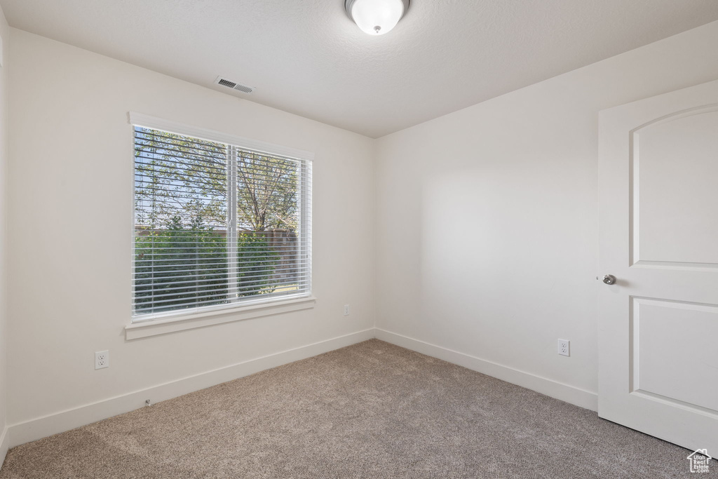 Spare room with carpet floors and a wealth of natural light