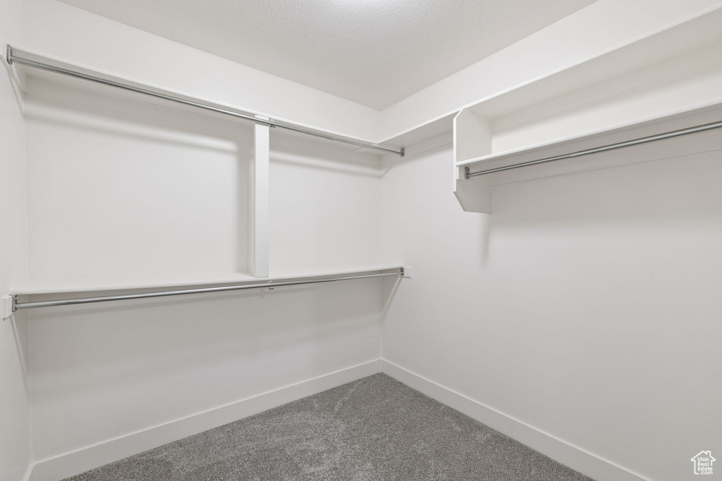 Walk in closet with carpet flooring