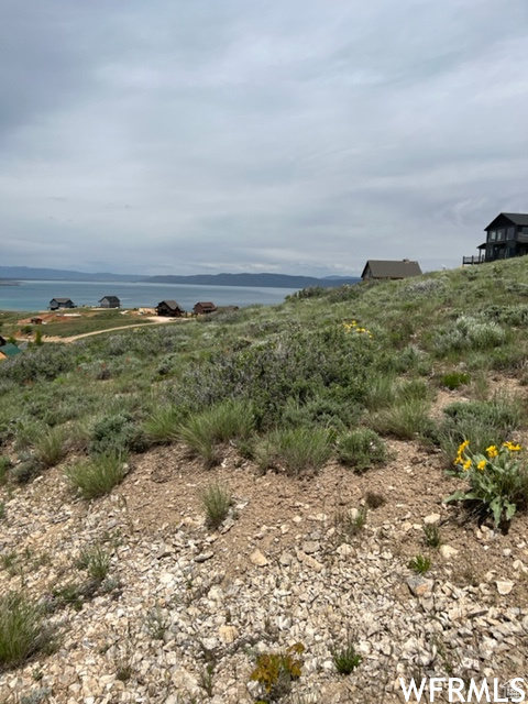 View of local wilderness with a water view