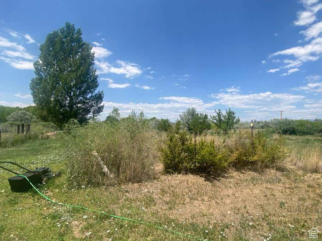 View of local wilderness with a rural view