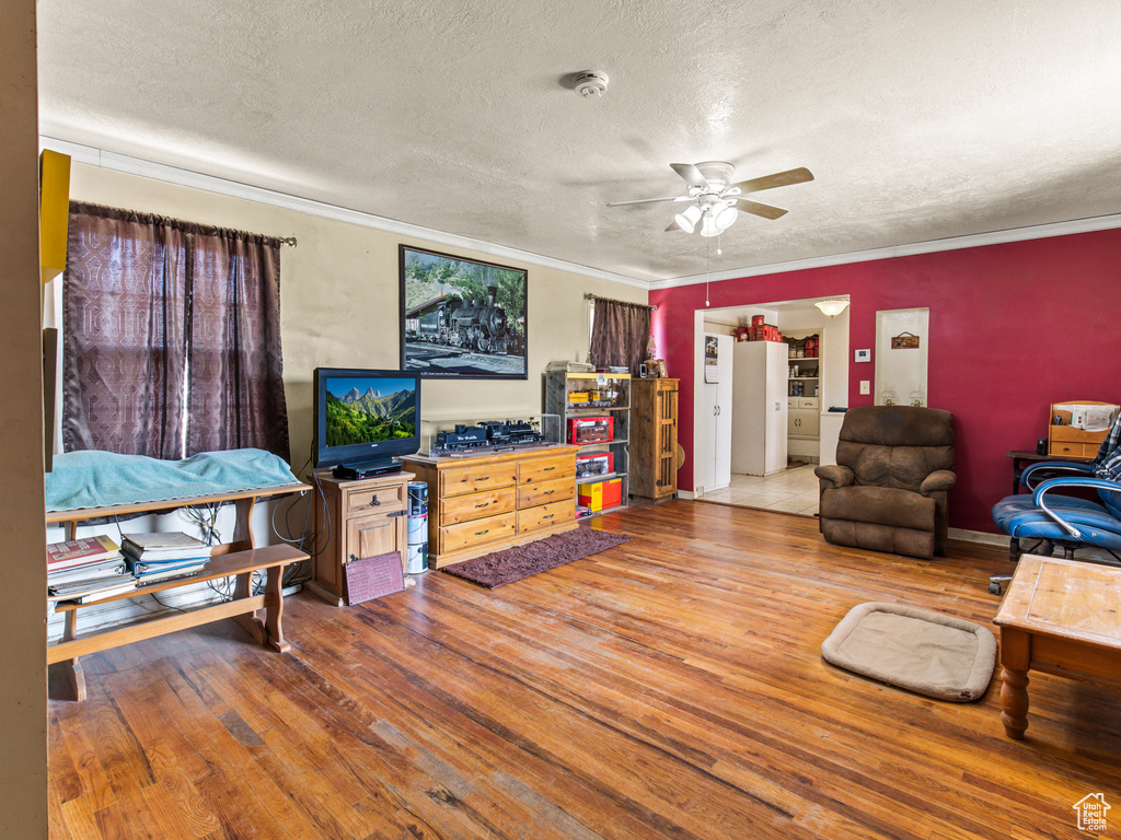 Living room with ceiling fan, crown molding, hardwood / wood-style floors, and a textured ceiling