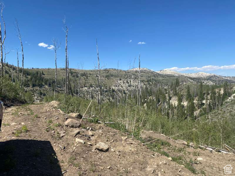 Property view of mountains