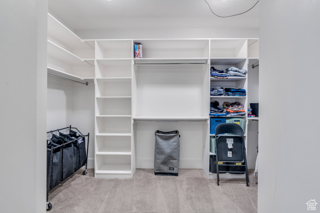 Spacious closet featuring light carpet