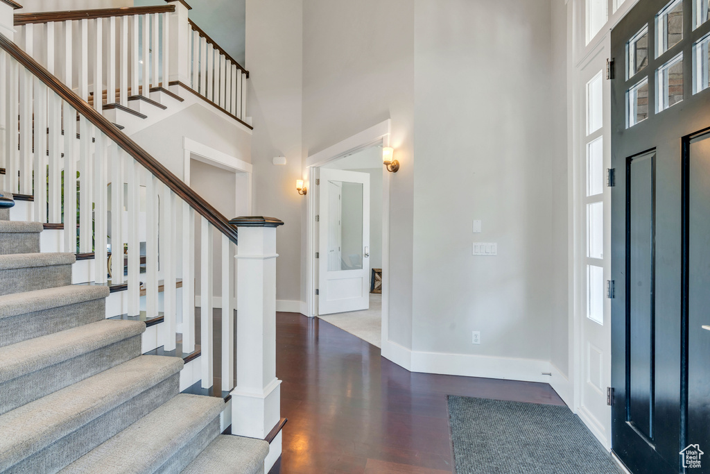 Foyer with dark hardwood / wood-style floors, a towering ceiling, and a wealth of natural light