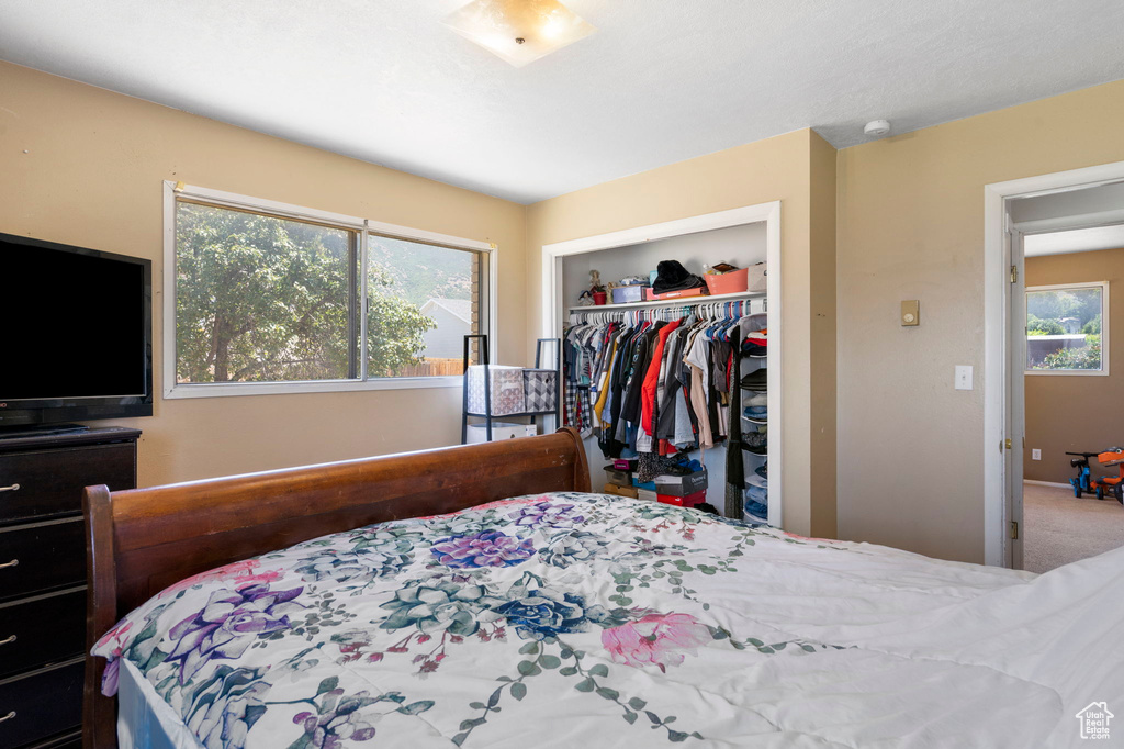 Bedroom with a closet and carpet floors