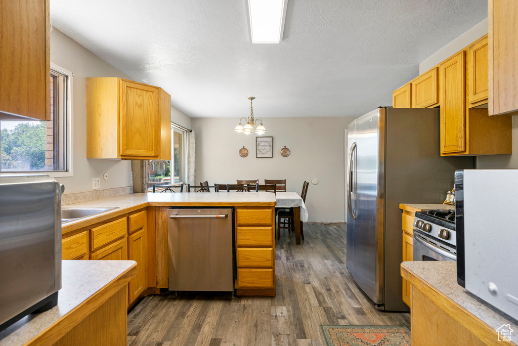 Kitchen featuring stainless steel appliances, wood-type flooring, a healthy amount of sunlight, and pendant lighting