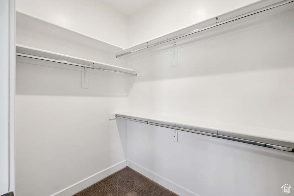 Walk in closet featuring dark colored carpet