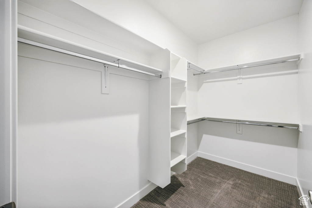 Spacious closet with dark colored carpet