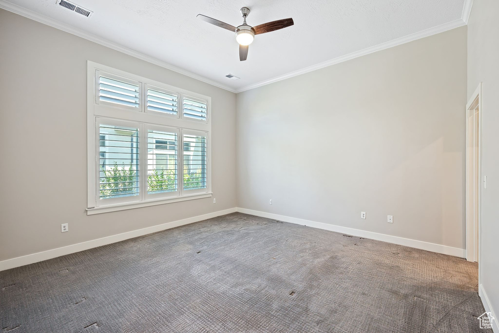 Carpeted spare room featuring a healthy amount of sunlight, ornamental molding, and ceiling fan