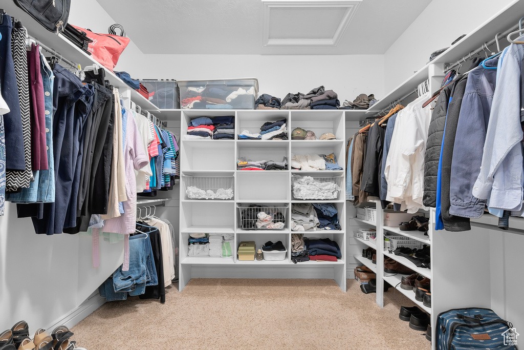 Walk in closet with carpet