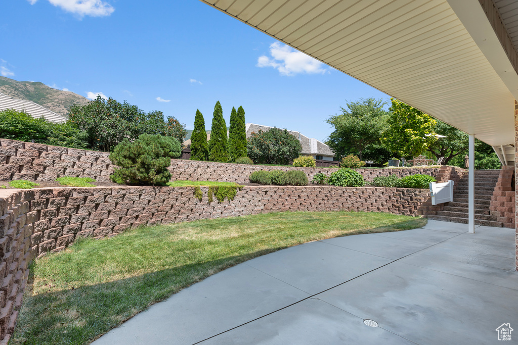 View of yard featuring a patio