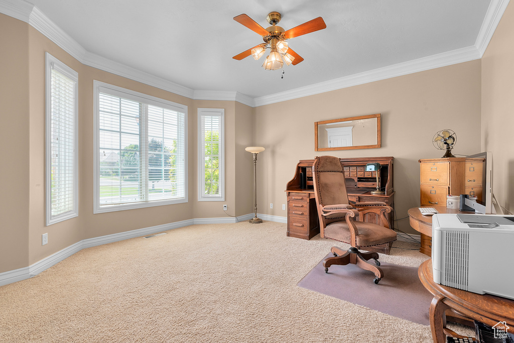 Office with ornamental molding, carpet floors, and ceiling fan