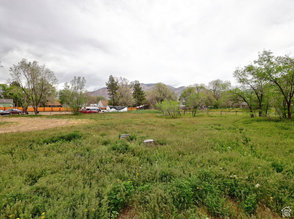 View of yard featuring a mountain view and a rural view