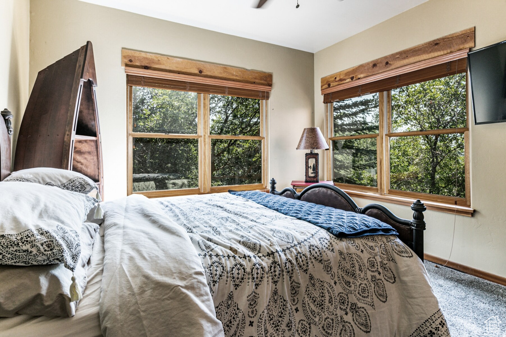 Bedroom with multiple windows and carpet floors