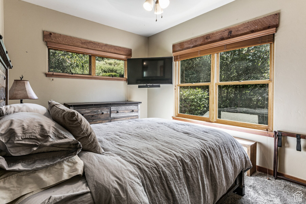 Bedroom featuring multiple windows, ceiling fan, and carpet flooring