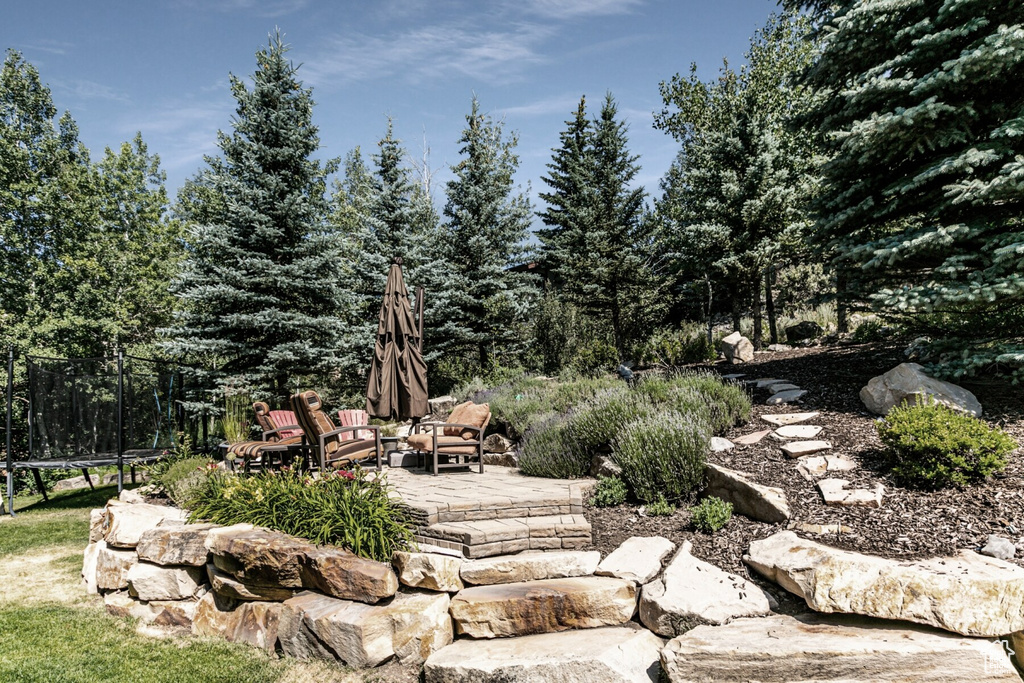 View of yard with a patio area and a trampoline