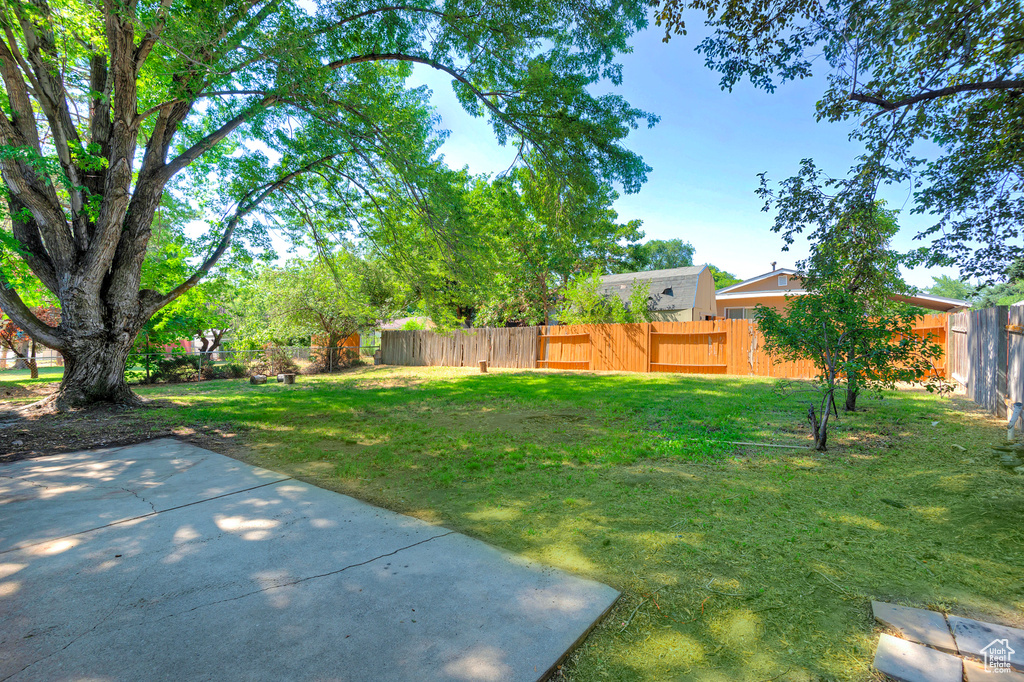 View of yard with a patio