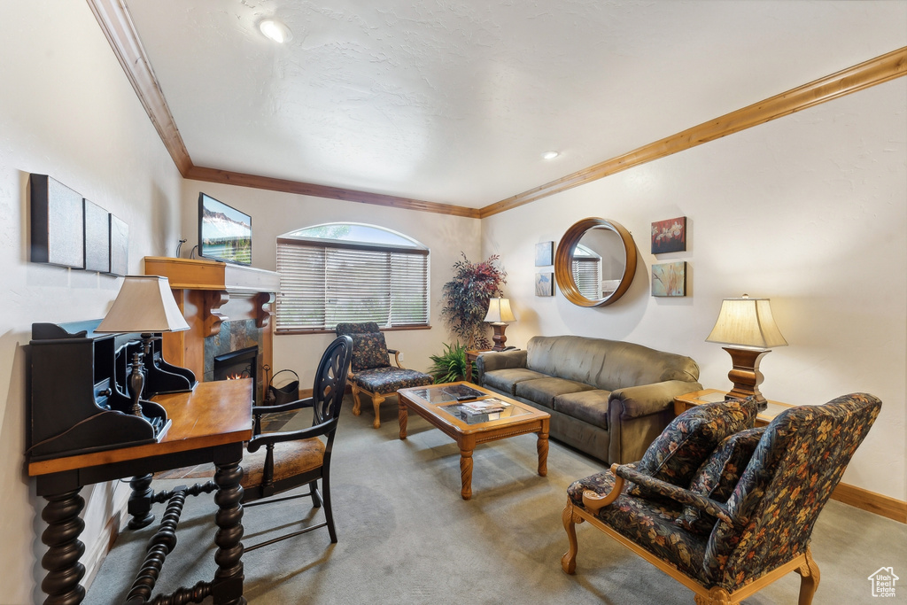 Living room featuring carpet flooring and crown molding