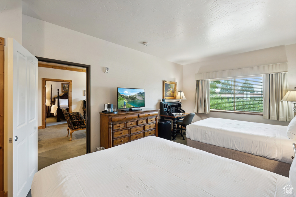 Bedroom featuring carpet floors