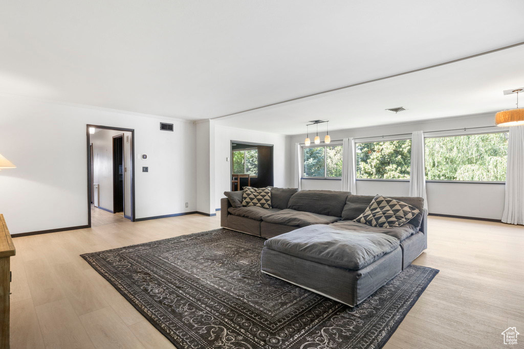 Living room with light wood-type flooring