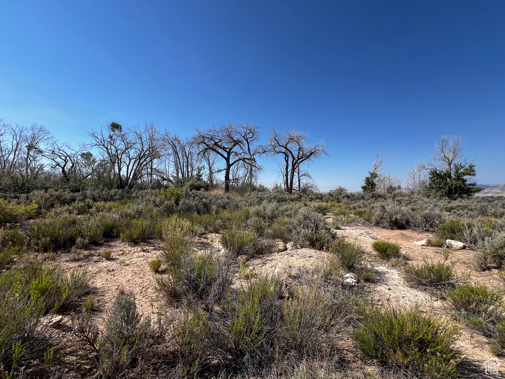 View of landscape featuring a rural view