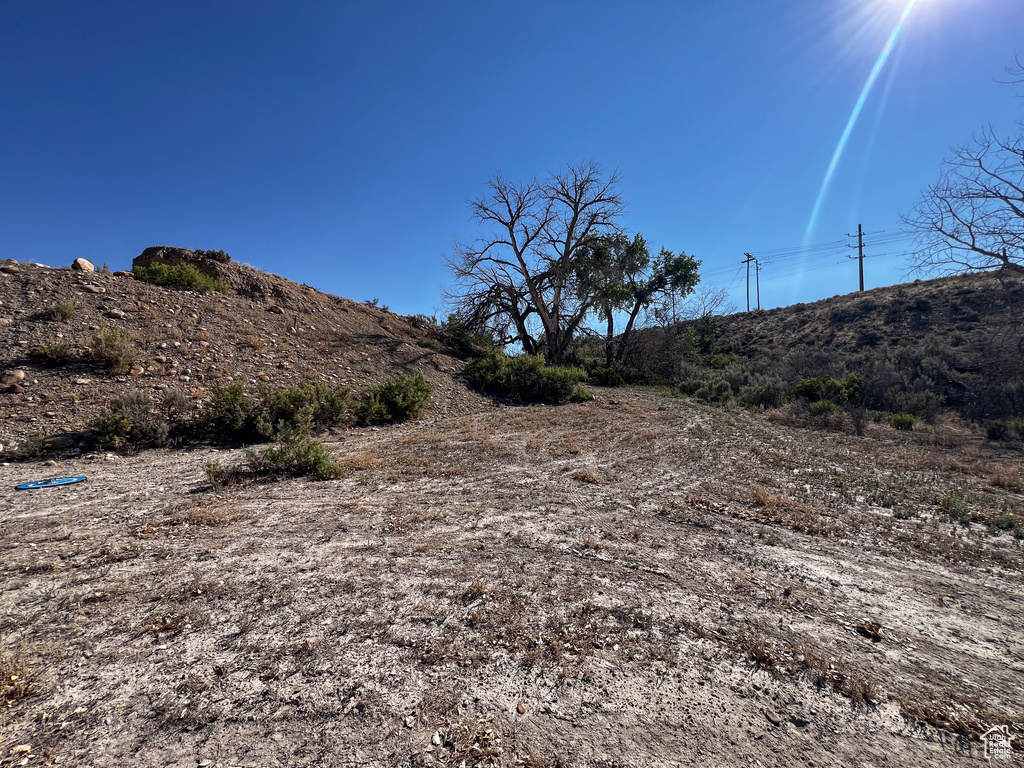 View of local wilderness