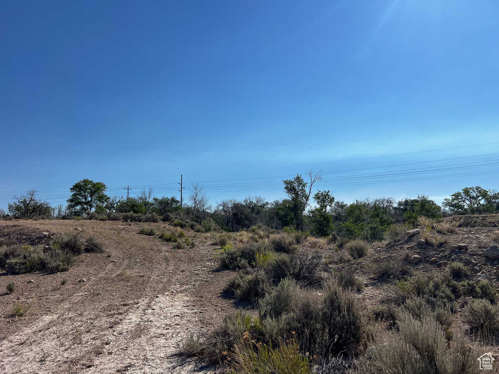 View of local wilderness