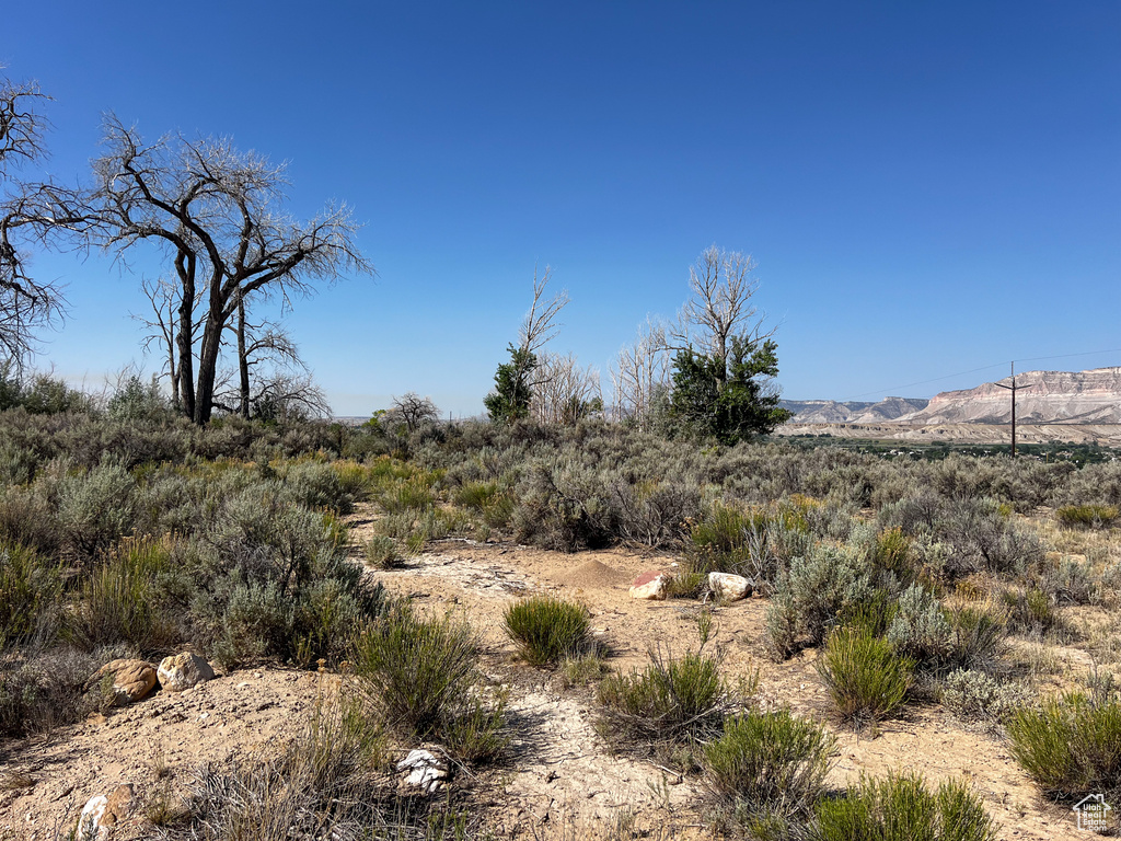 View of local wilderness with a mountain view