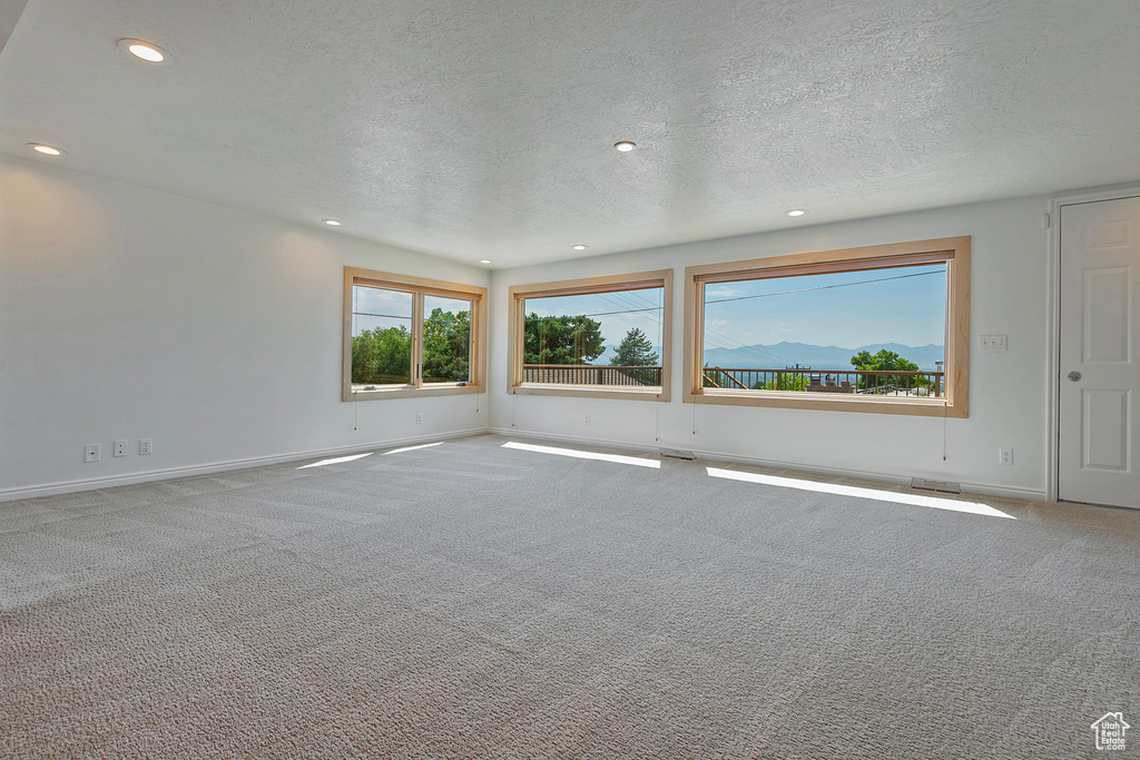 Unfurnished room with carpet and a textured ceiling