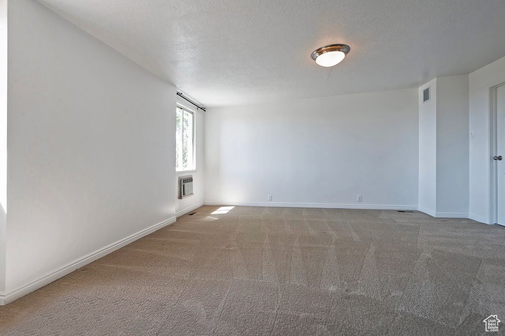 Unfurnished room featuring carpet floors and a textured ceiling