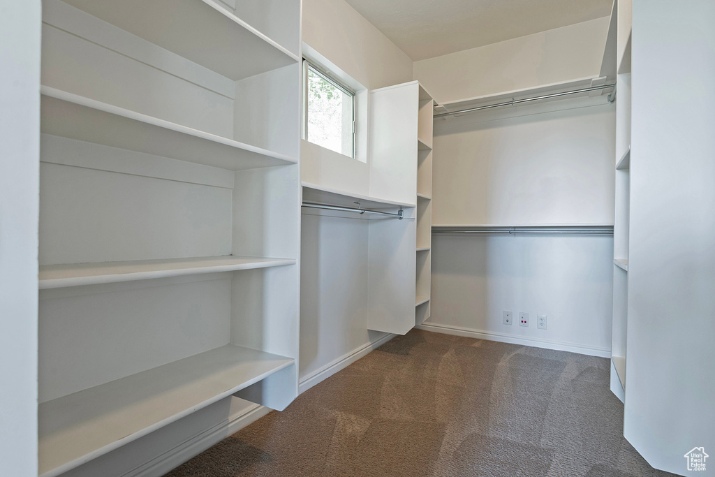 Spacious closet with carpet floors