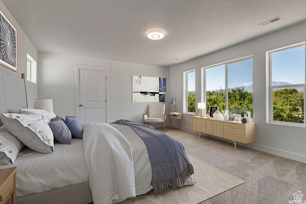 Carpeted bedroom with multiple windows