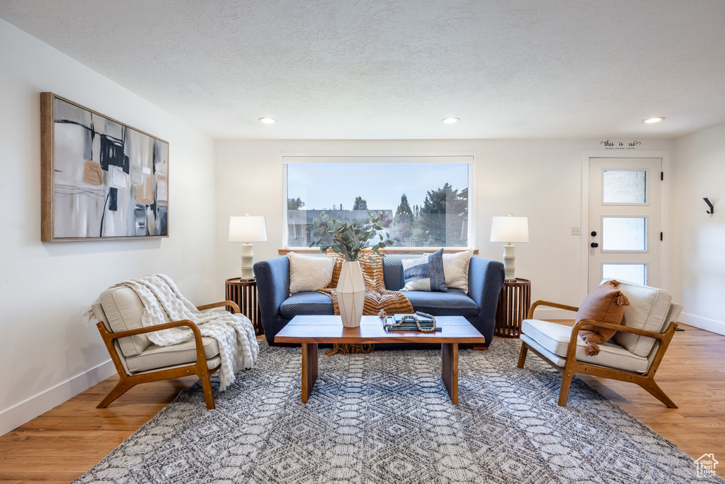 Living room featuring wood-type flooring and a textured ceiling