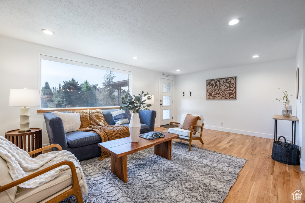 Living room with light wood-type flooring