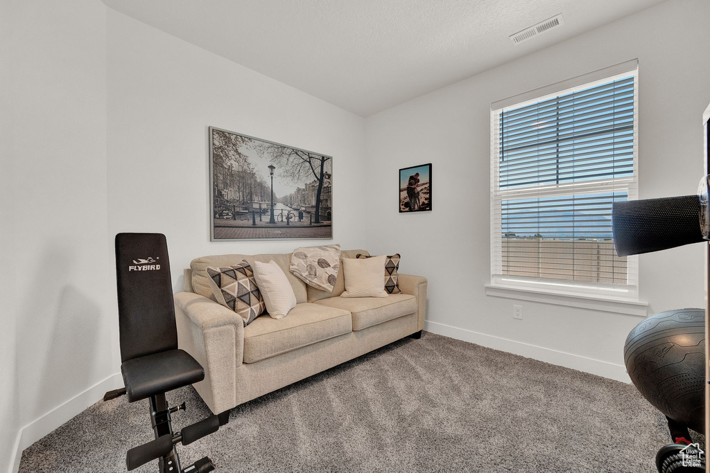 Living room featuring carpet flooring